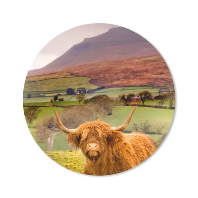Produktbild von MuchoWow® Mauspad Mousepad Schottischer Highlander - Berg - Herbst 30x30 cm - Mousepads - Maus Mat - Pad - Mausunterlage - Tischunterlage - Schreibtischmatten