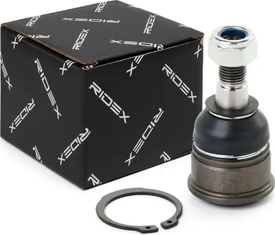Produktbild von RIDEX Traggelenk Unten Vorne für HONDA CR-V II (RD) 2462S0229