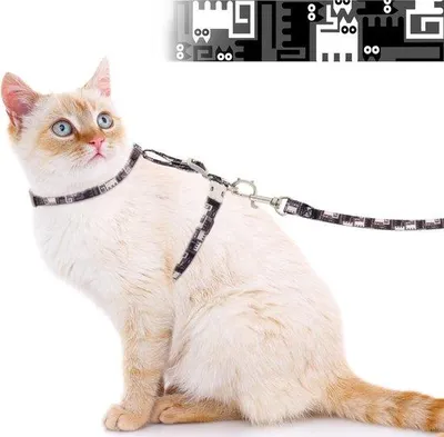Produktbild von Famanu Katzenharness mit Leine, verstellbar und leicht, für große und kleine Katzen (schwarz, S)