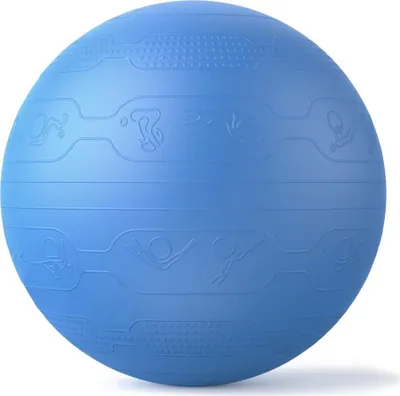 Produktbild von PROIRON Yoga-Ball Embos - 65 cm, dunkelblau