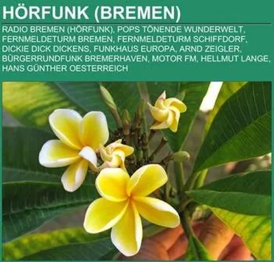 Produktbild von Hörfunk (Bremen)