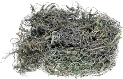 Produktbild von Curly Moos in Grau, Gewicht ca. 50g | Deko-Moos