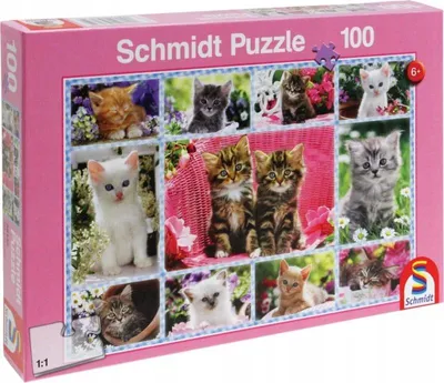 Image de Les bébés chats. Puzzle 100 pièces