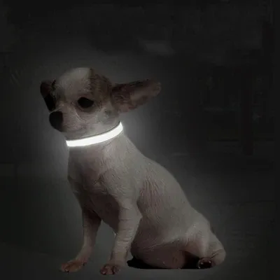 Produktbild von Reflektierende verstellbare Nylon-Halsband für Hunde - Sicherheitsverschluss und weiche Neoprenpolsterung (S, M, L Größen)