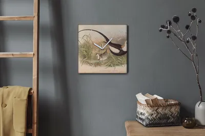 Produktbild von Coloray Hodiny Unikátní 30x30 cm  Tiché hodiny Pro obývací pokoj a kuchyň Nástěnné hodiny Plátno Bílé ručičky hodin - Ptáci zvířata kreslí