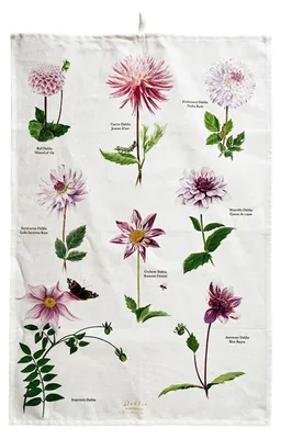 Produktbild von Dahlia Geschirrtuch, Küchentuch