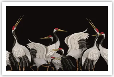 Produktbild von Poster - Poster ohne Rahmen - Kraniche Vögel Grafiken - 91,5x61 cm - Wand Bild - Wanddeko - Wandbilder - Kunstposter - Wandposter - Bilder - Kunstdruck - Wanddekoration - Wandbild - P2XAA91x61-4748