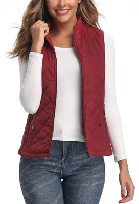 Productafbeelding van LONGKING Dames Vest, lichtgewicht, vest met opstaande kraag, gewatteerd vest met rits, mouwen