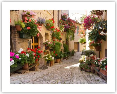 Produktbild von Poster - Poster ohne Rahmen - Blume Straße Haus - 50x40 cm - Wand Bild - Wanddeko - Wandbilder - Kunstposter - Wandposter - Bilder - Kunstdruck - Wanddekoration - Wandbild - P2XAA50x40-3586