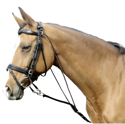 Produktbild von Euroriding Gogue Natural Line, Farbe:schwarz, Größe Pferd Euroriding:Full