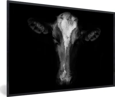 Produktbild von MuchoWow® MuchoWow® Gerahmtes Poster Kuh Porträt auf schwarzem Hintergrund in schwarz und weiß 90x60 cm - Poster mit zchwarzem Bilderrahmen - Fotorahmen - Foto-Plakat