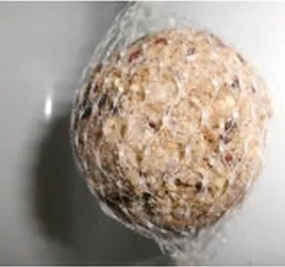 Produktbild von Pfiffikus Meisenknödel mit Netz 100St