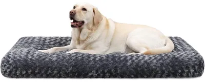 Image de Lit pour chien, taille XXL, lavable, couleur gris foncé, dimensions 122 x 74 cm