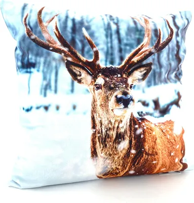 Produktbild von heimtexland ® Dekokissen Bezug Winter Tiere Foto Digitaldruck Kuschelige Velour Kissenhülle 40x40 Deko Kissen Typ831 Hirsch