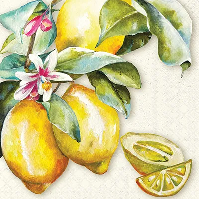 Produktbild von Servietten Papier 33x33cm 3-lagig Zitronen mit Blüten Motiv 20 Stk.