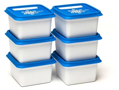 Zdjęcie produktu dla Dbp Alaska Freezer Box 200 ml Zestaw 6 sztuk
