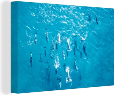 Produktbild von OneMillionCanvasses® - Leinwandbilder - 140x90 cm, Delfin - Wasser - Meer, Wandbilder Kunstdruck Wanddekoration