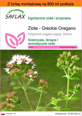 Zdjęcie produktu dla SAFLAX - Garden in the bag - Zioła - Greckie Oregano - 600 Nasiona - Z podłożem uprawowym w praktycznej, samorozkładającej się torbie - Origanum vulgare supsp. Hirtum
