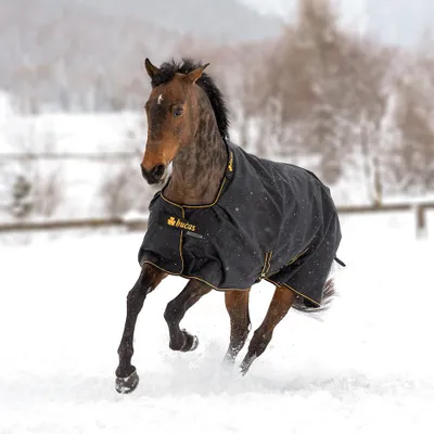 Produktbild von Bucas Irish Turnout 300 g, Outdoordecke, Weidedecke in zwei Farben, Farbe:Black/gold, Größe:145