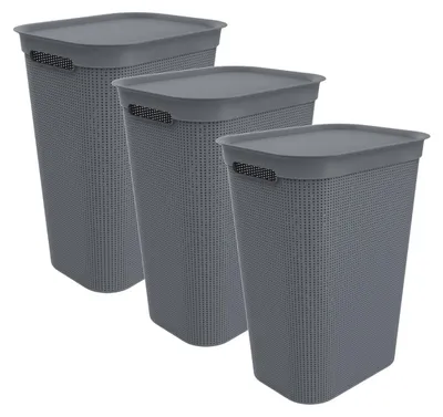 Produktbild von Rotho 3er-Set Wäschesammler 50 L Brisen - Wäschekorb 43,1 x 34 x 52,9 cm - Wäschebox mit Deckel und Griffen - Wäschetruhe groß - Wäschetonne aus Kunststoff