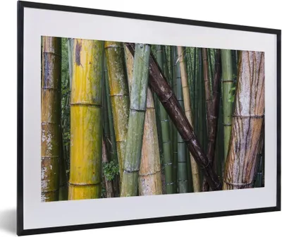 Produktbild von MuchoWow® Gerahmtes Poster Viele Bambusarten im Arashiyama-Bambuswald in Japan 60x40 cm - Poster mit Schwarzem Bilderrahmen Wandposter Rahmen Foto Bilder - Schlafzimmer - Plakat in Rahmen - Drucken