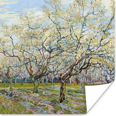Produktbild von MuchoWow® Poster Blühender Obstgarten - Vincent van Gogh 75x75 cm - Wand Dekoration