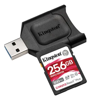 Produktbild von Kingston MLPR2/256GB
