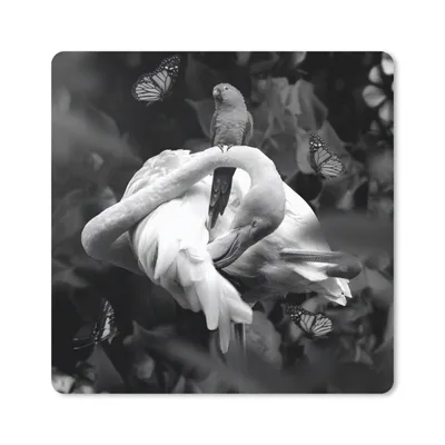 Produktbild von MuchoWow® Mauspad Mousepad Flamingo - Tiere - Dschungel - Schwarz - Weiß 30x30 cm - Mousepads - Maus Mat - Pad - Mausunterlage - Gaming