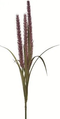 Produktbild von Fink SCHILF, Kunstblume, Kunstfasern, lila, L. 15 cm, B. 15 cm, H. 115 cm 181012
