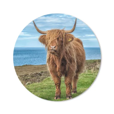 Produktbild von MuchoWow® Mauspad Mousepad Schottischer Highlander - Wasser - Hörner 20x20 cm - Mousepads - Maus Mat - Pad - Mausunterlage - Schreibtischmatte