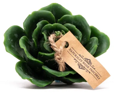 Produktbild von Łysoń Bienenwachskerze Blumenform Grün Naturduft