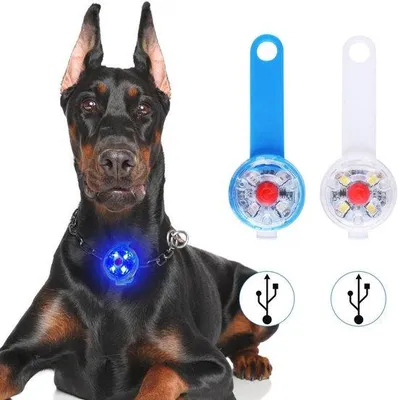 Immagine prodotto di Due luci di sicurezza per animali domestici – lampeggianti LED ricaricabili tramite USB, adatte a cani e gatti