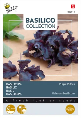 Artikelbild 2 von 'Basilikum Purple Ruffles' aus der Kategorie Basilikumsamen