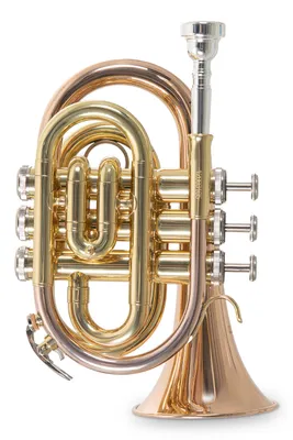 Produktbild von Roy Benson PT-101 G Taschentrompete