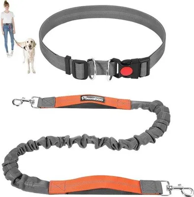 Produktbild von Famanu Hunde-Joggingleine mit Bauchriemen – Handsfree, reflektierend, grau, breite Bungee-Leine