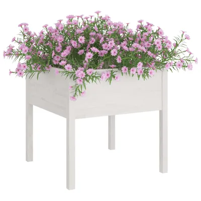 Obrázok produktu pre vidaXL Kvetináč biely 70x70x70 cm Masívne borovicové drevo