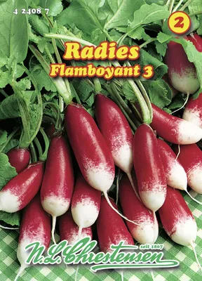 Artikelbild 1 von 'Radies Flamboyant 3' aus der Kategorie Radieschensamen