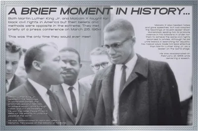 Obrázek produktu pro Vzdělávací - Martin Luther King & Malcolm X Politika - plakát 91,5x61 cm
