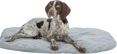Produktbild von TRIXIE Farello Hundematratze, 60 x 50 cm, Plüsch und Stoff, Weiß und Grau, 4 cm Polyesterfüllung