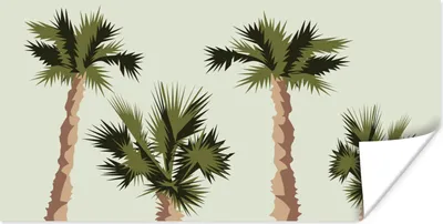 Produktbild von MuchoWow® Poster Palme - Sommer - Tropisch 150x75 cm - ohne Rahmen