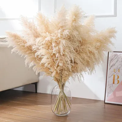 Productafbeelding van Grote Pampasgrasboeket van 100cm voor Boho Decoratie