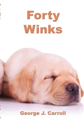 Produktbild von Forty Winks