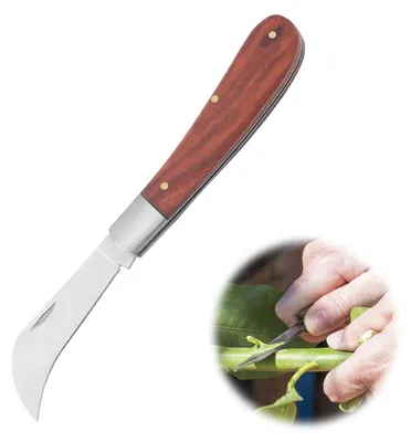 Image de Couteau de jardin pliable, en acier inoxydable, avec manche en bois naturel et lame incurvée
