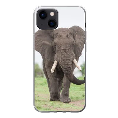 Produktbild von MuchoWow® Handyhülle Schutzhülle Hülle für iPhone 13 mini Elefant - Tiere - Gras - Natur Silikon Softcase Handy Hülle - Softcase