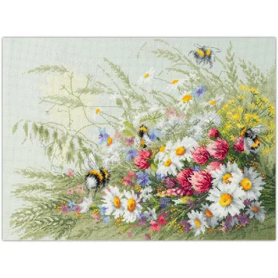 Image de Magic Needle Zweigart Edition Point de Croix Set "Marguerite et trèfle", motif à compter, 40x30cm
