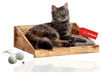 Produktbild von Katzenkletterstufe mit Kissen | Katzentreppe für Wand als Spiel- und Trainingsmöglichkeit | Sicheres und stabiles Wandelement für Katzen | Katzenwandmöbel aus hochwertigen Materialien (1er Set)