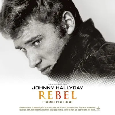 Produktbild von Johnny Hallyday - Rebel (Limited Edition) (2 LP)