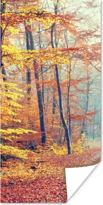 Produktbild von MuchoWow® Poster Wald - Herbst - Laub 60x120 cm - Wandschmuck