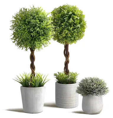 Kunstpflanze 35 cm, Buchsbaum, 3er-Set in Betontöpfen