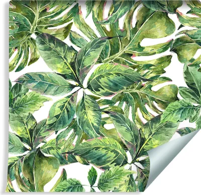 Zdjęcie produktu dla Tapeta Ścienna AKWARELOWE Liście Tropikalne Natura Abstrakcyjna z modnym efektem 3D